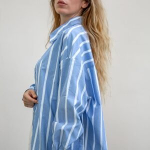 Ithaca striped blue shirt