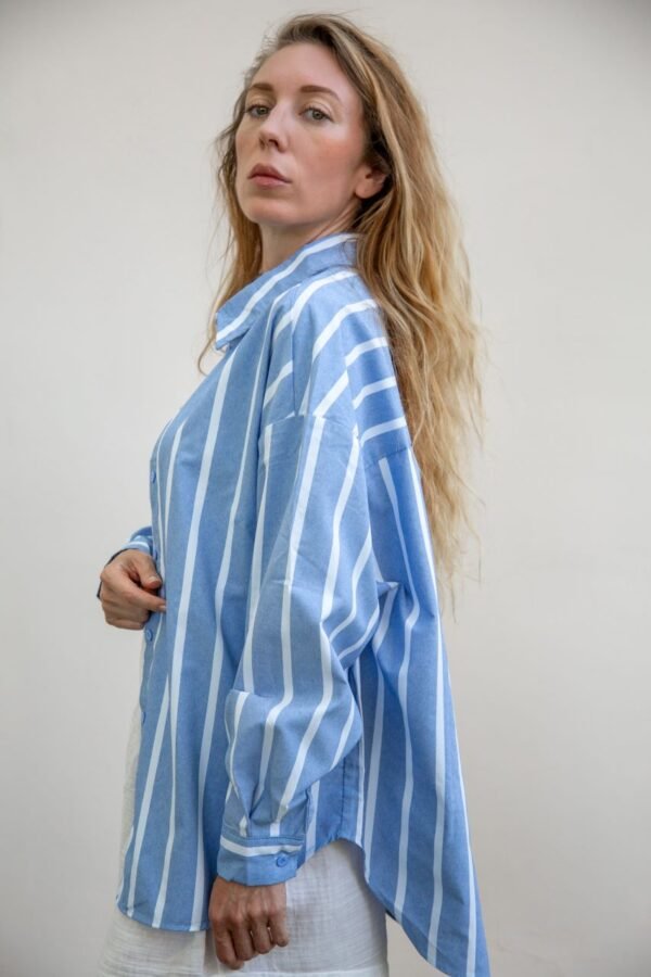 Ithaca striped blue shirt
